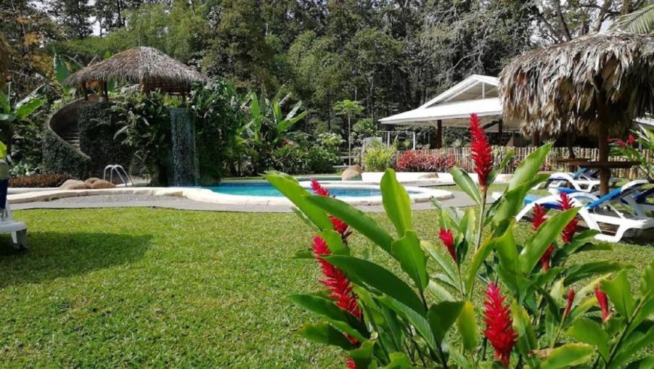 Hotel Del Caribe 3*