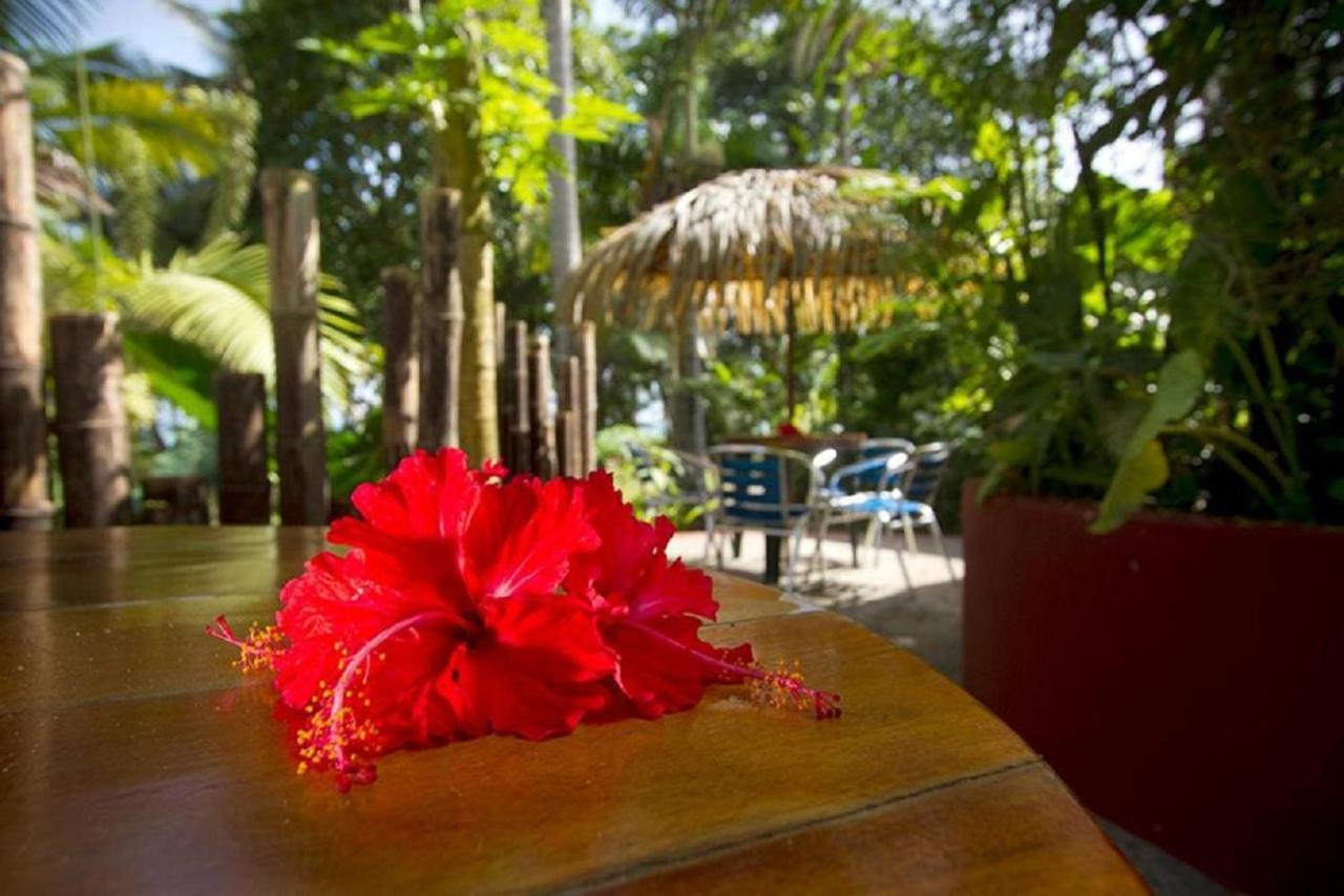 Del Caribe 3*