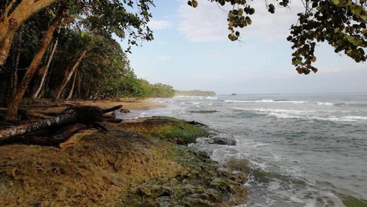 Del Caribe Puerto Viejo de Talamanca