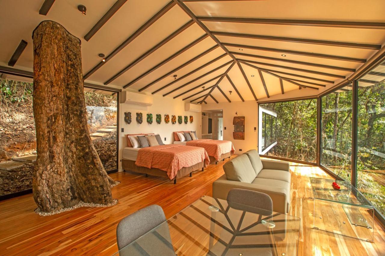 Dantica Cloud Forest San Gerardo de Dota