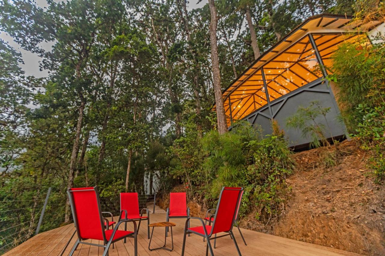 Dantica Cloud Forest San Gerardo de Dota
