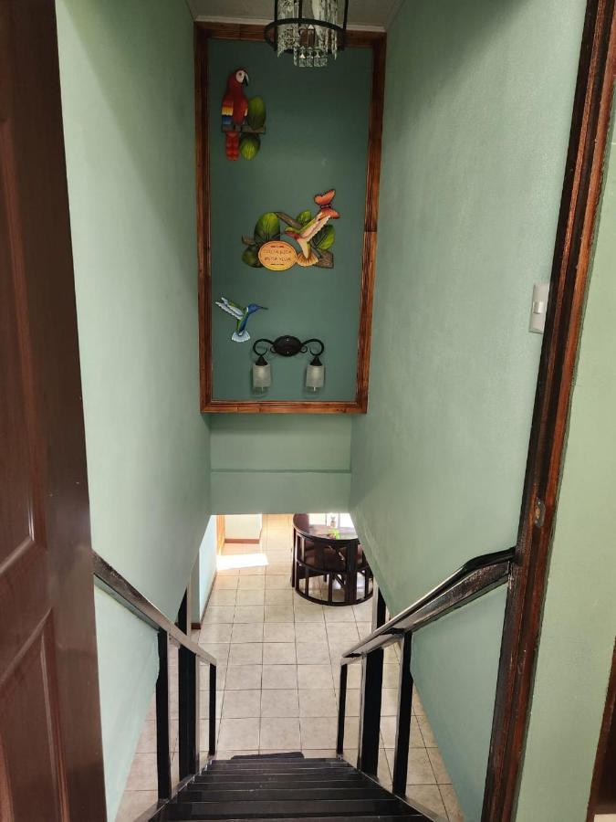Guest house Sl