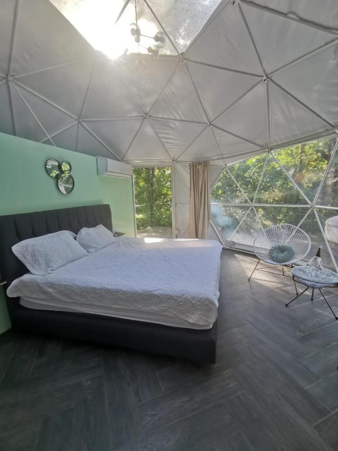 Bed & Breakfast Roble Coral Glamping *