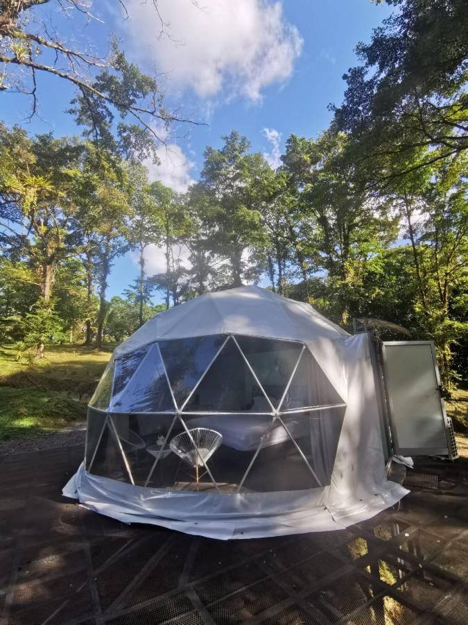 Bed & Breakfast Roble Coral Glamping *