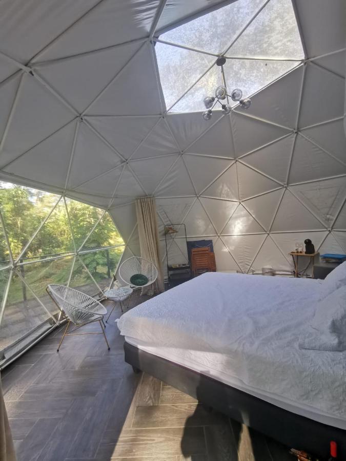 Bed & Breakfast Roble Coral Glamping *
