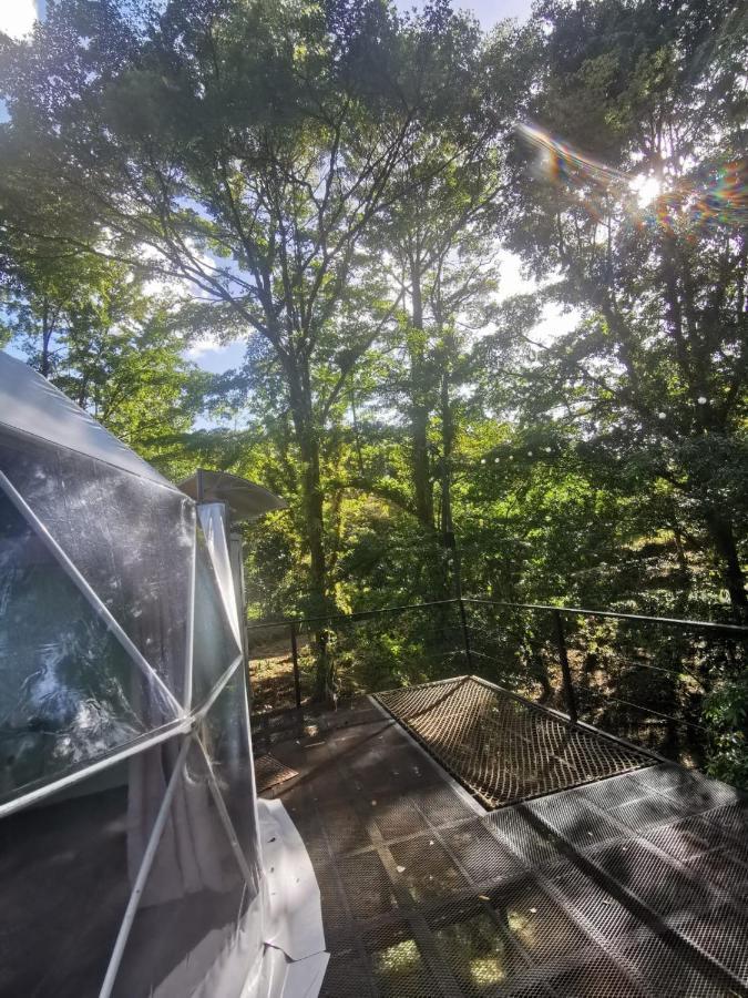 Roble Coral Glamping Sarapiqui