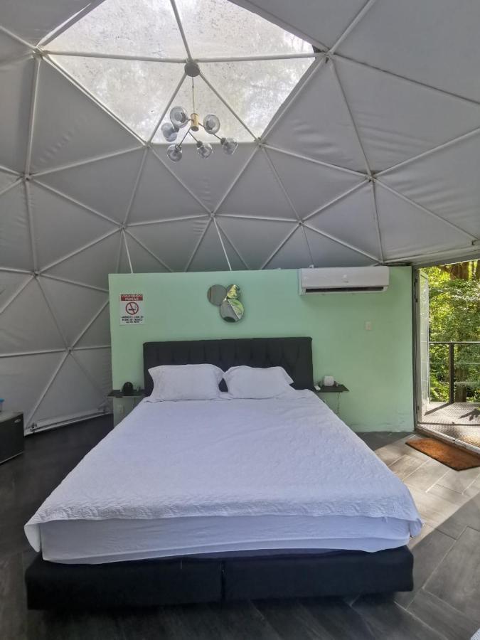 Roble Coral Glamping Bed & Breakfast Sarapiqui