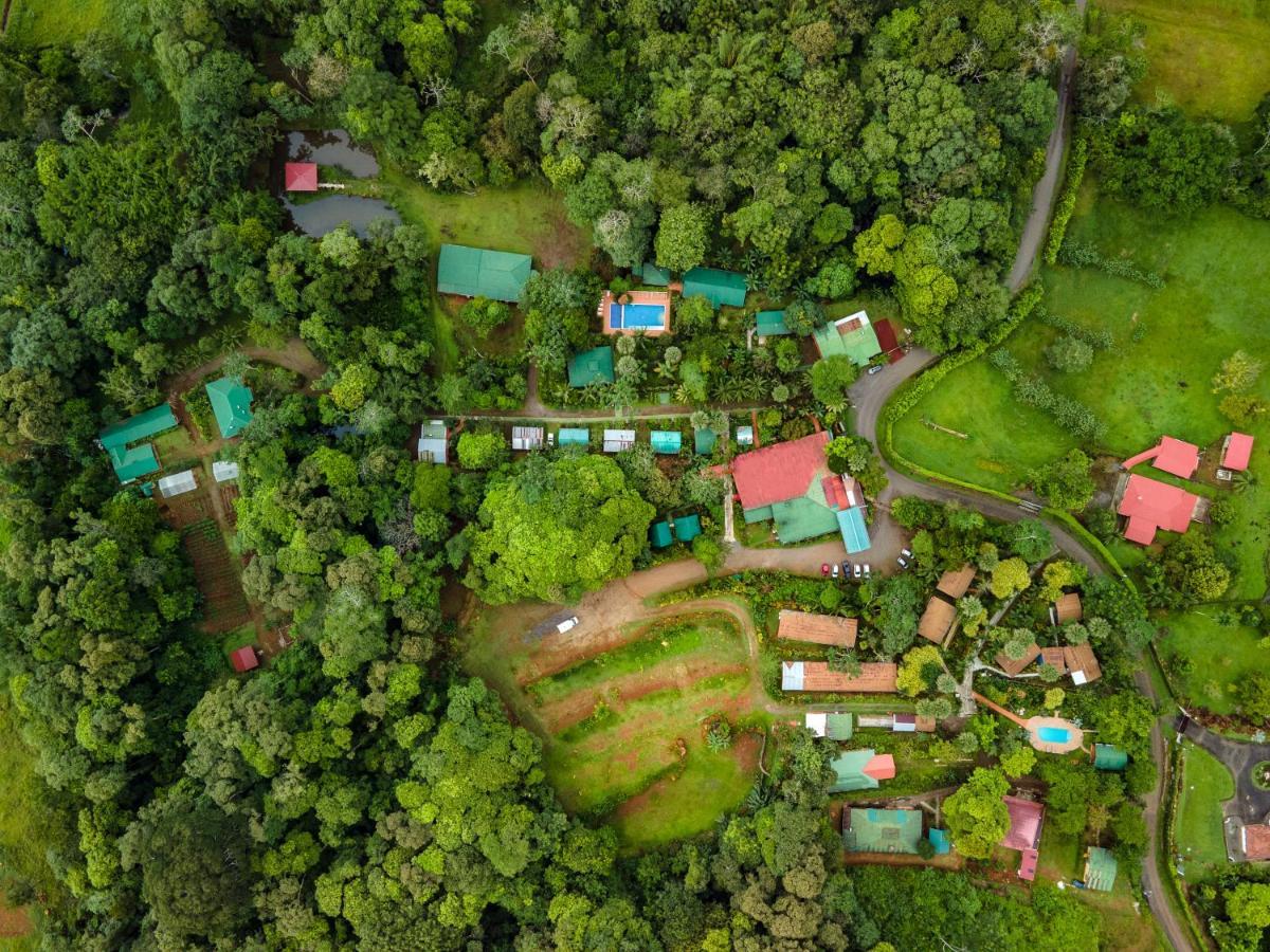 Hotel Ara Ambigua