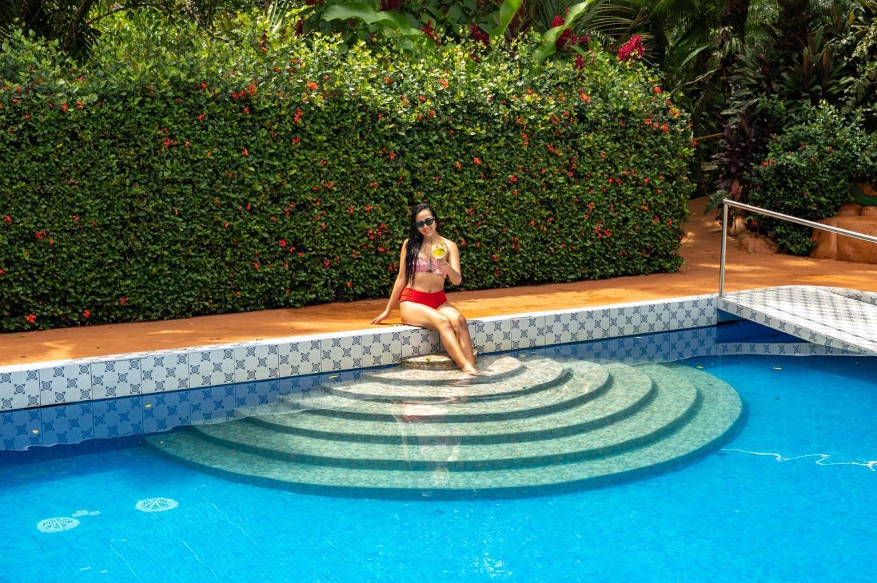 Ara Ambigua Hotel