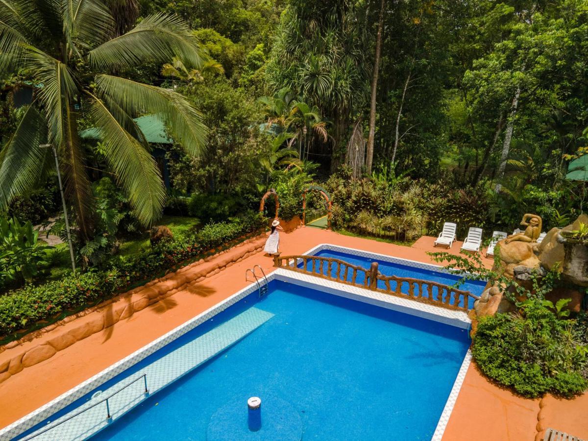 Ara Ambigua Hotel Sarapiqui
