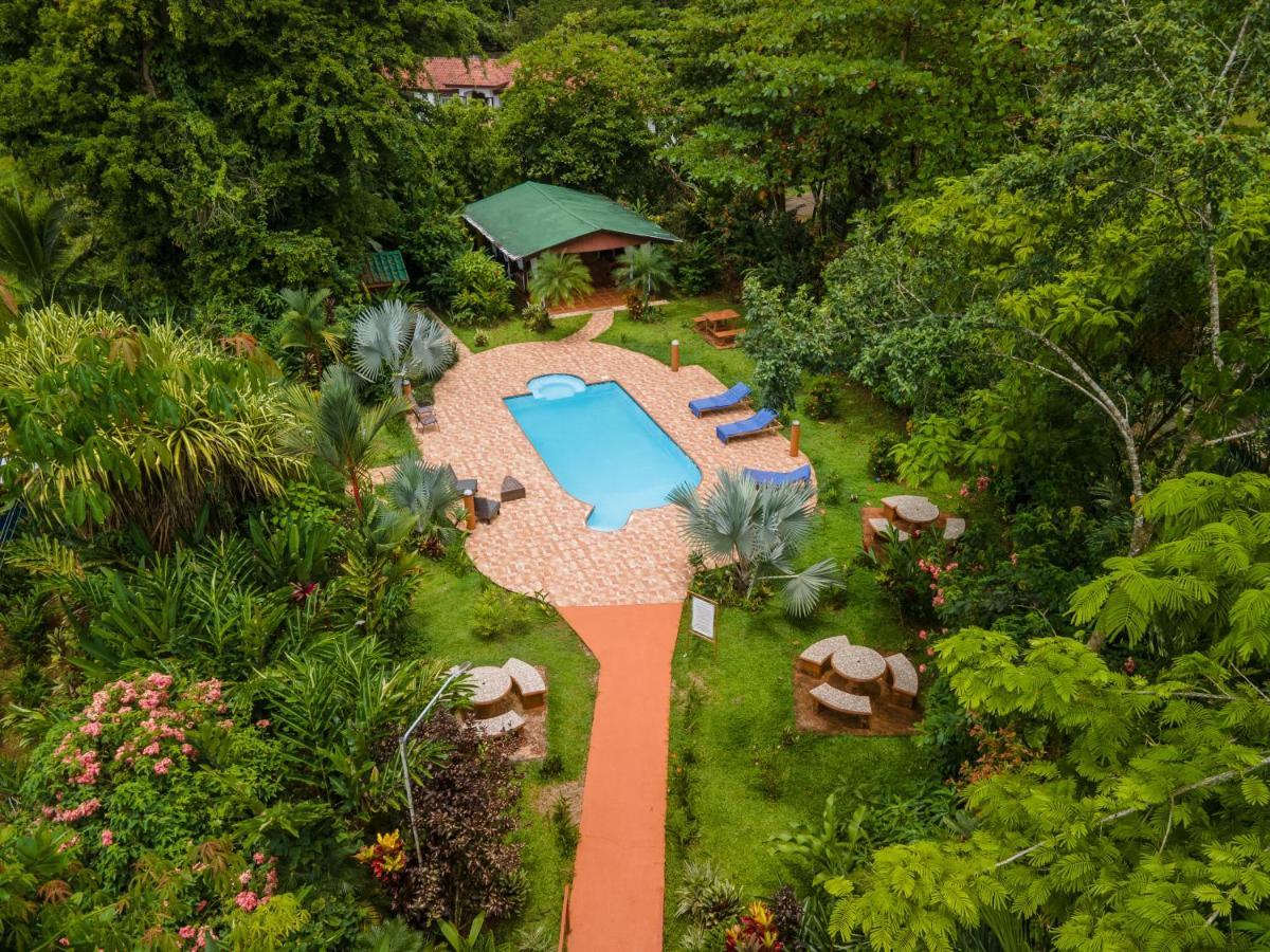 Ara Ambigua Hotel