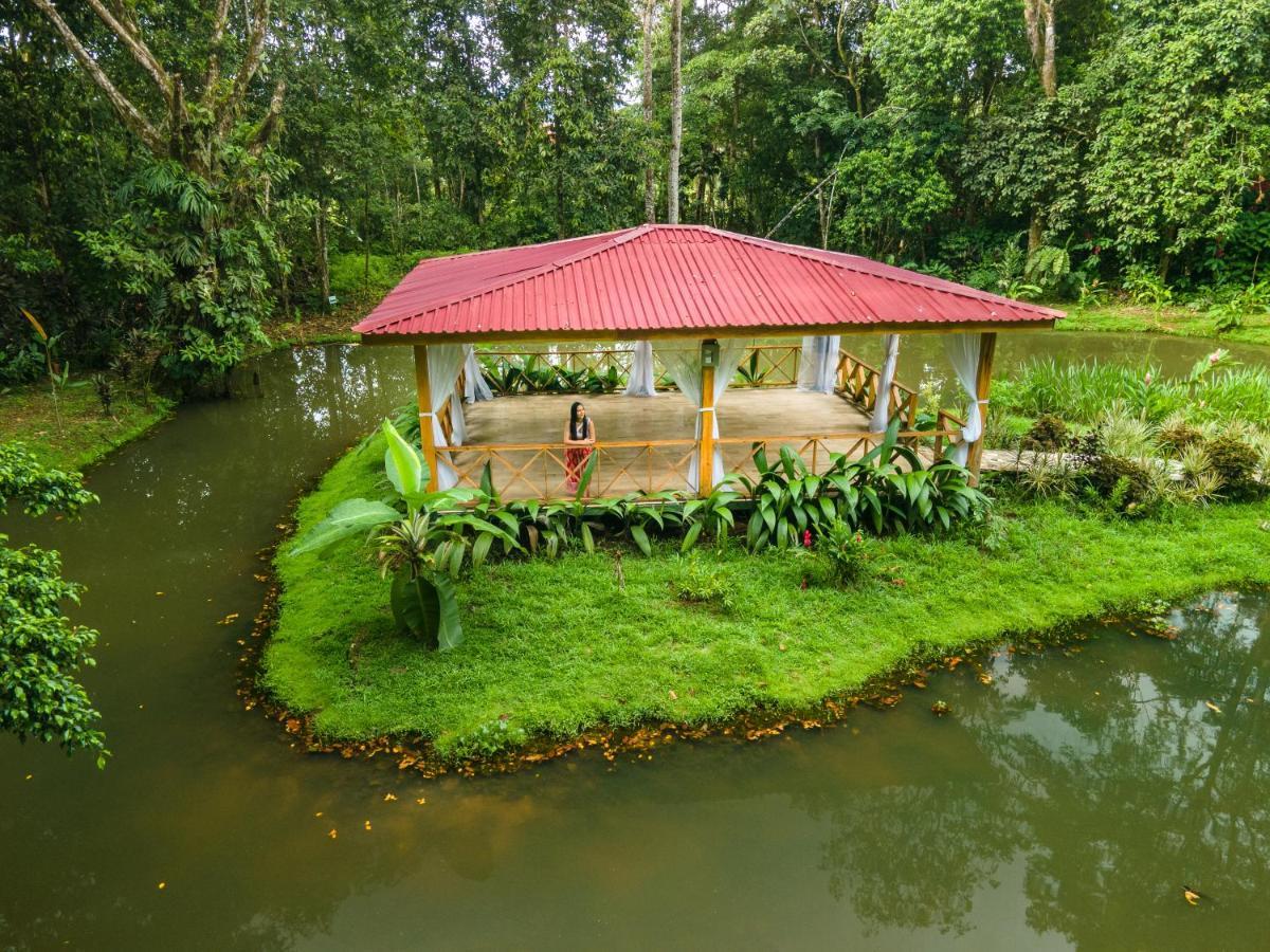 Hotel Ara Ambigua