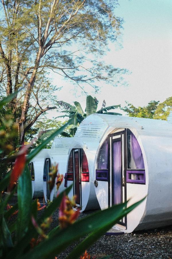 Koru Boutique Guest house *