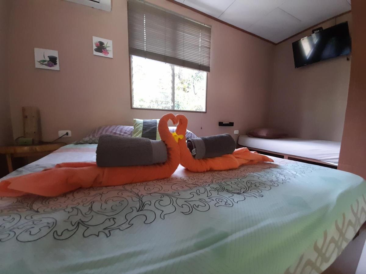 Bed & Breakfast Hotel El Colibri Rojo - Cabinas - Le Colibri Rouge