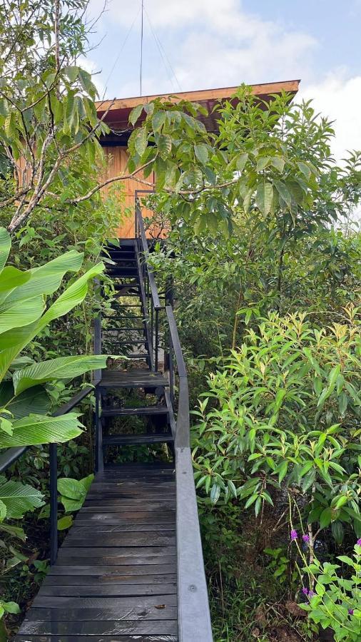 Lodge Onca Tours & Treehouses *