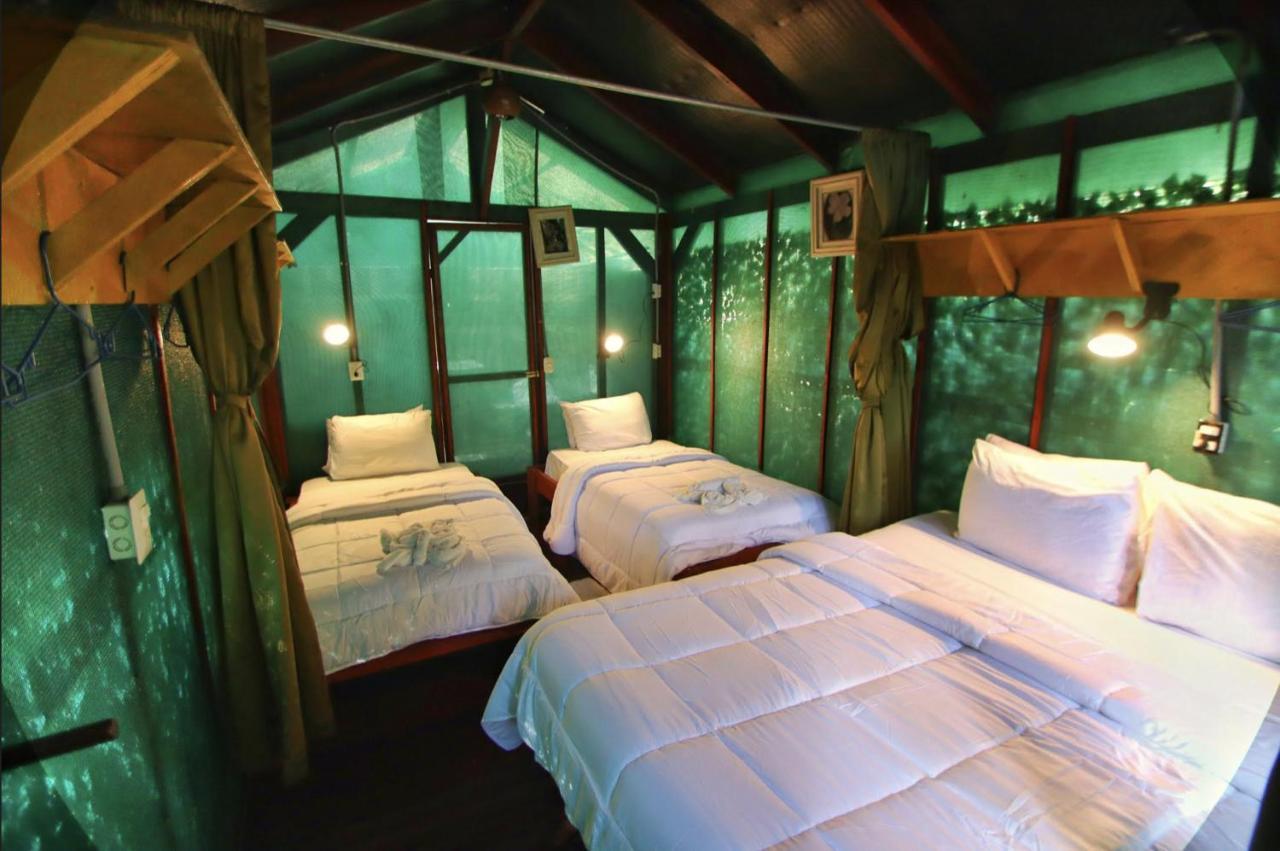 Hotel Jungle's Edge