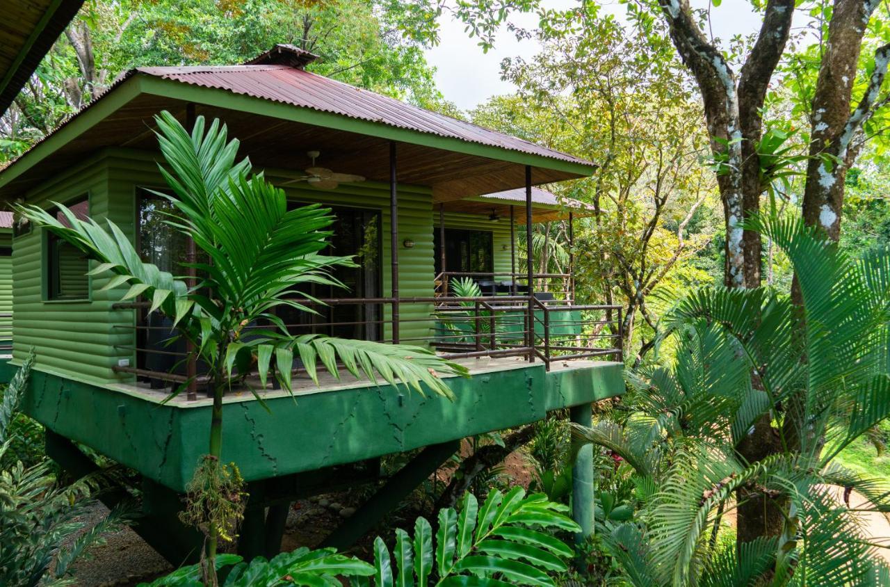 Hotel Arbol 3*
