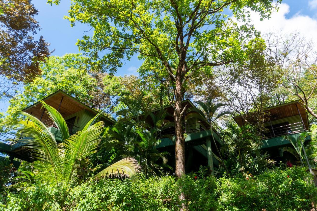 Hotel Arbol