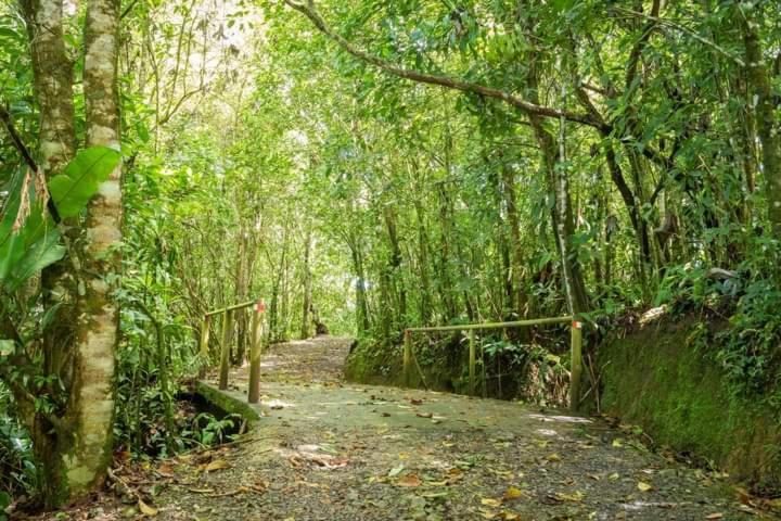 El Bosque Campsite Turrialba