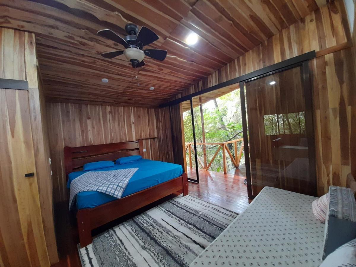 Onca Tours & Treehouses Lodge