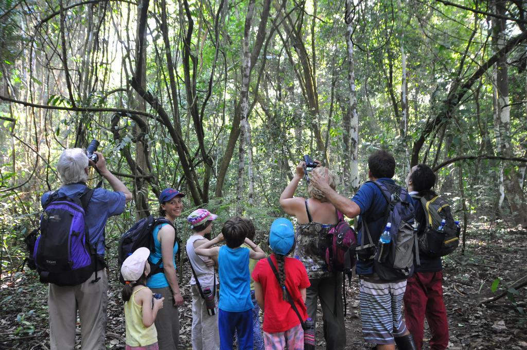 Cabinas Pura Vida Tour Operator