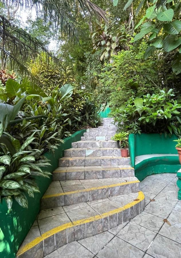 Hotel Park House - Adults Only Manuel Antonio