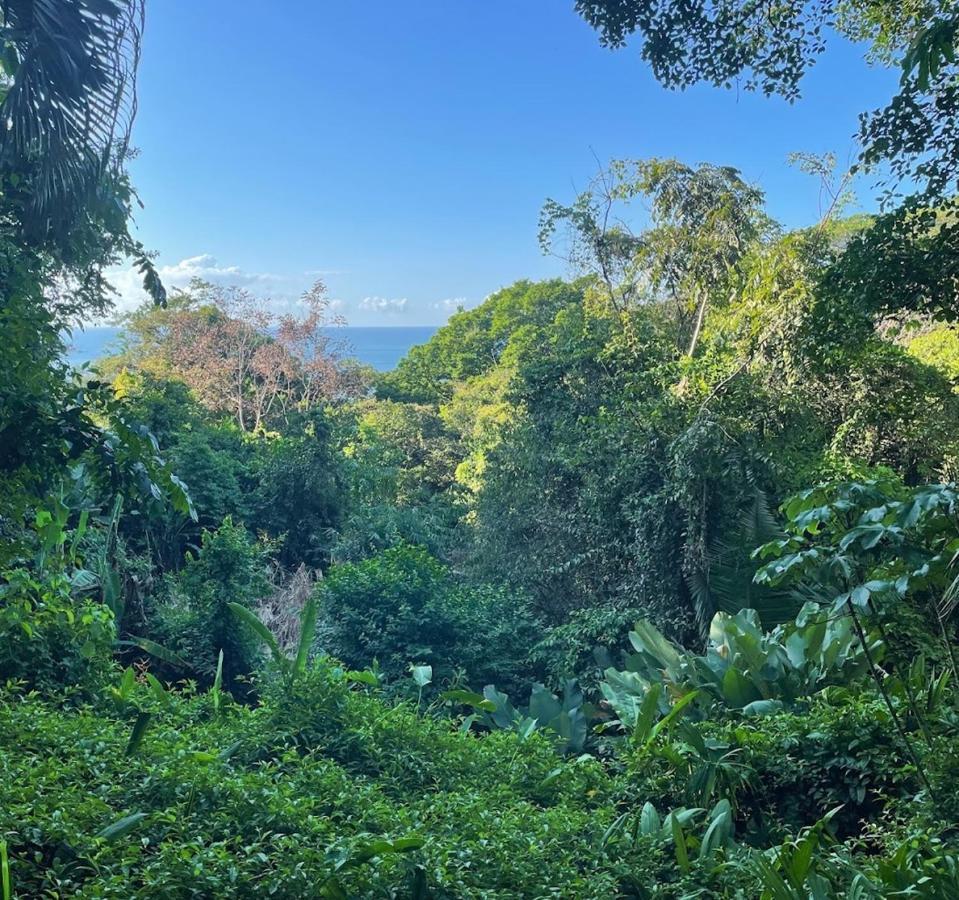 Park House - Adults Only Manuel Antonio