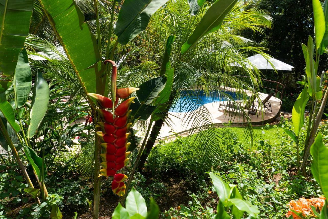 Arbol Hotel Ojochal
