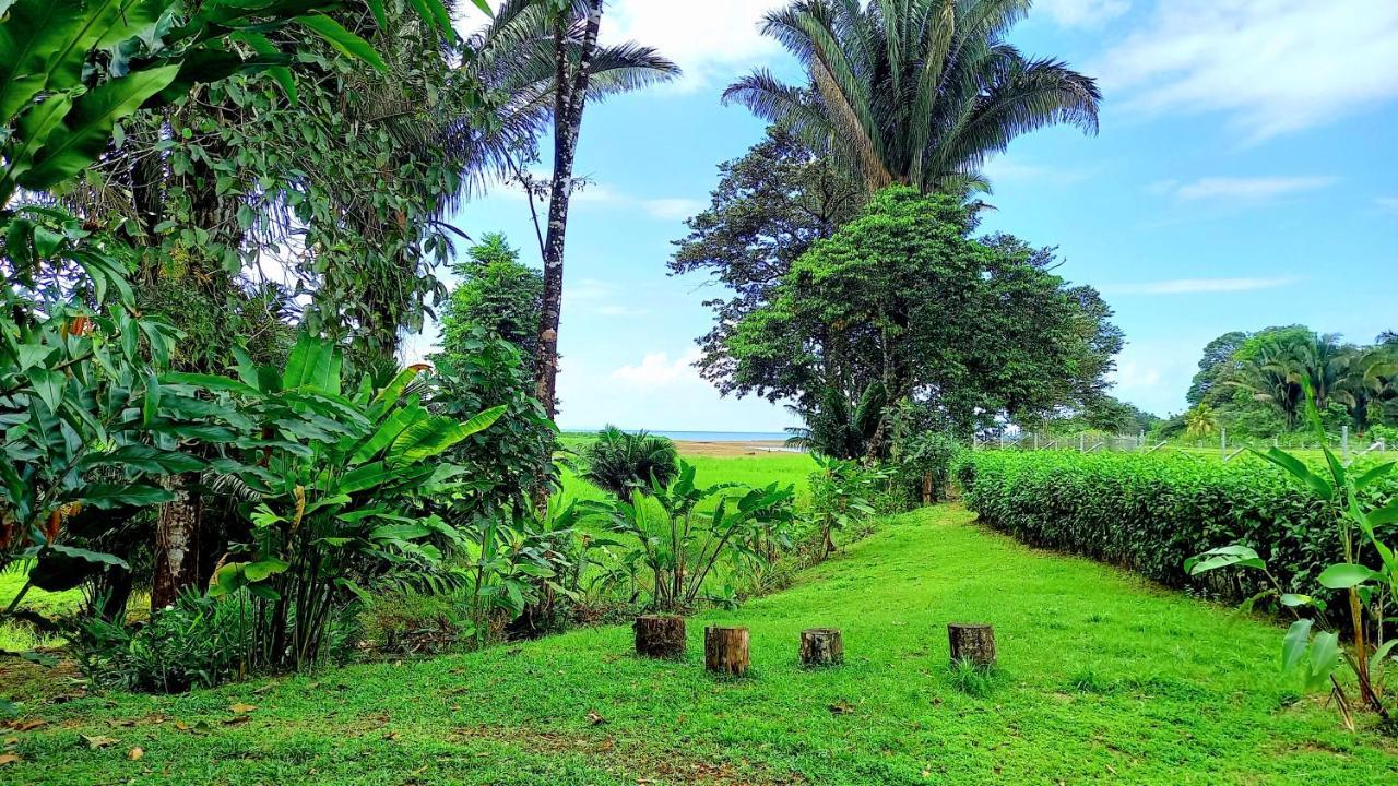 Encanto Guest house Drake Bay