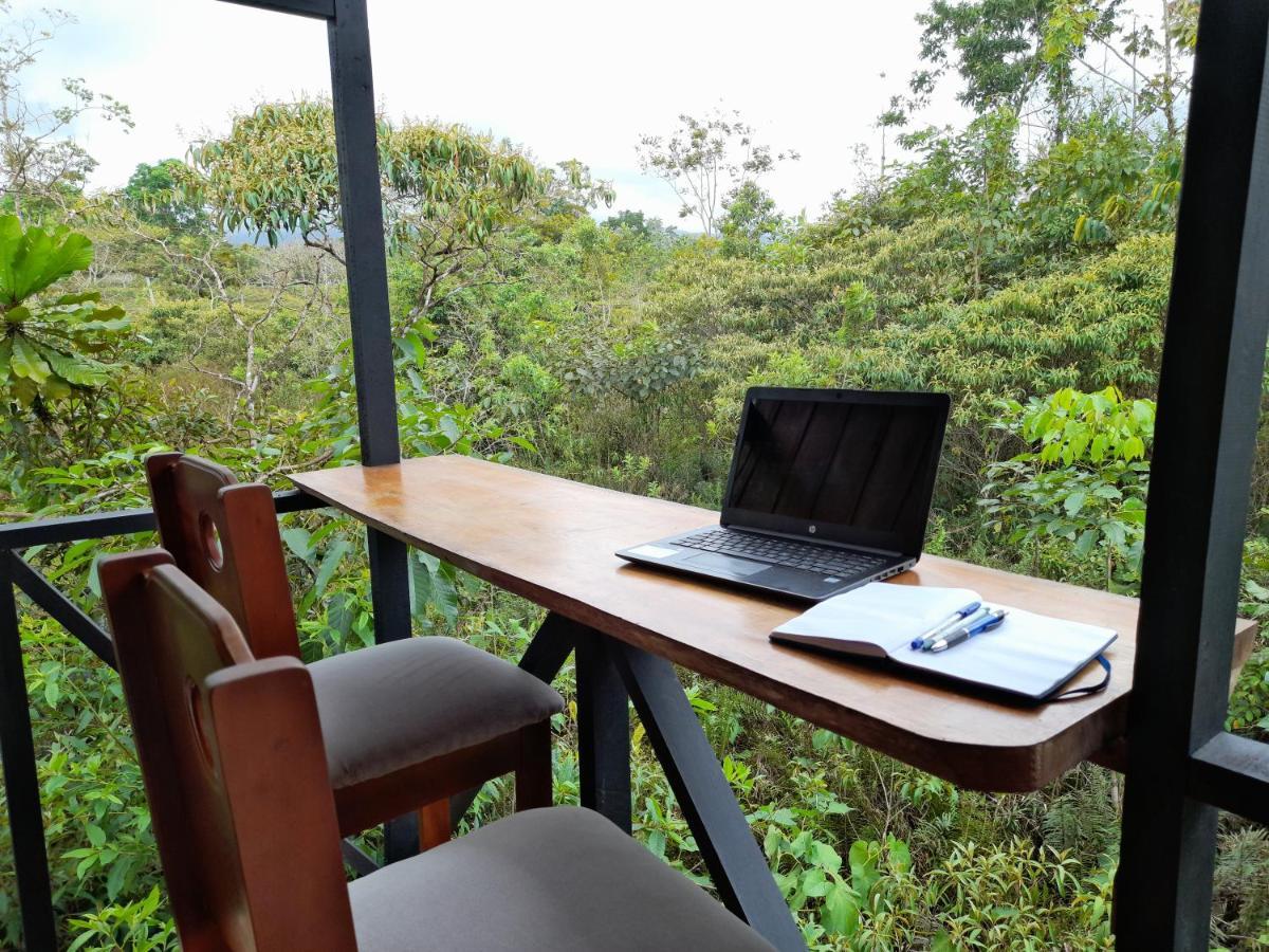 Lodge Onca Tours & Treehouses *