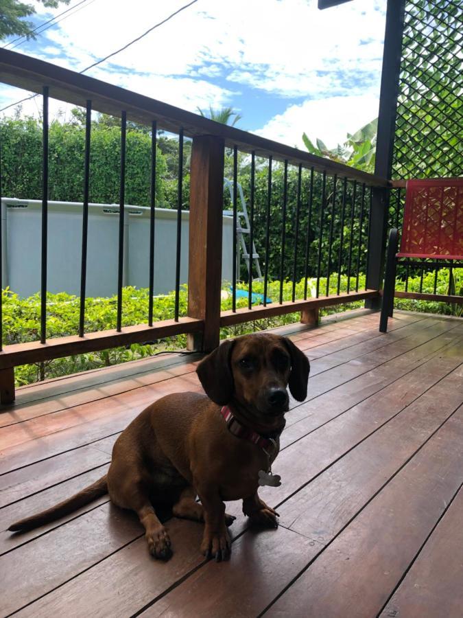 Pet Friendly - Wfh Beach House