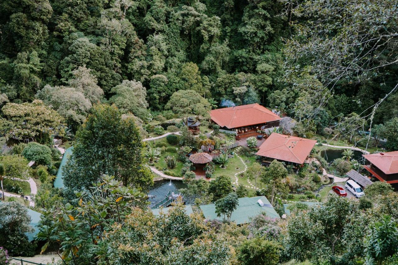 Lodge Trogon *