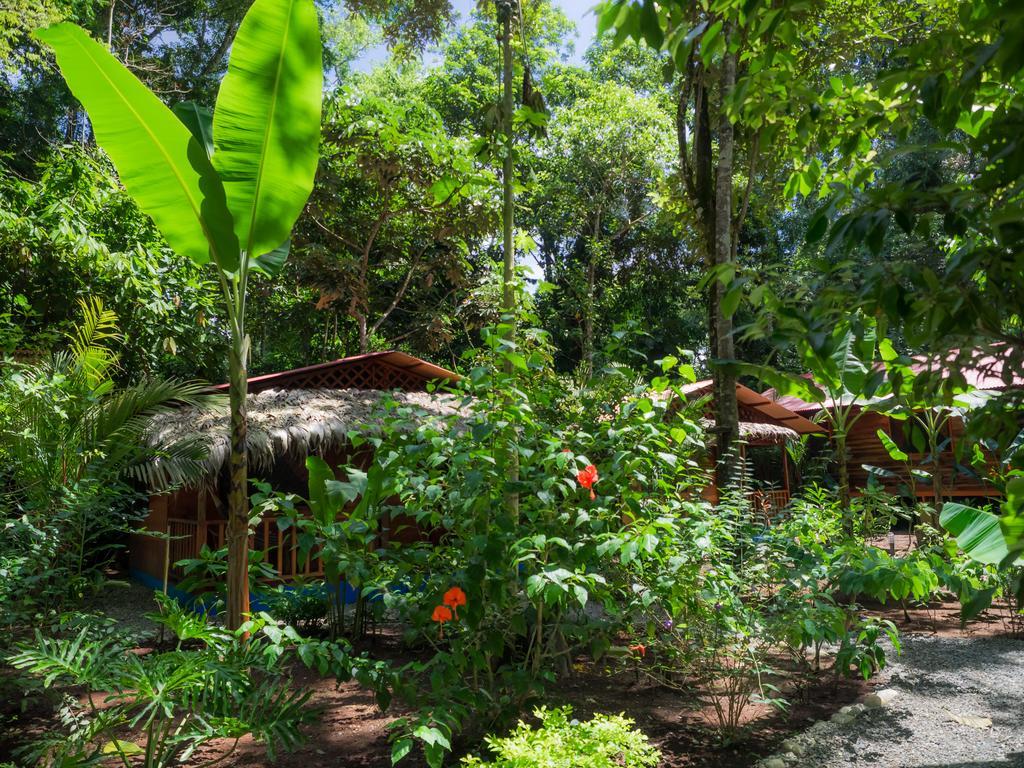 Casitas Flores Hotel *