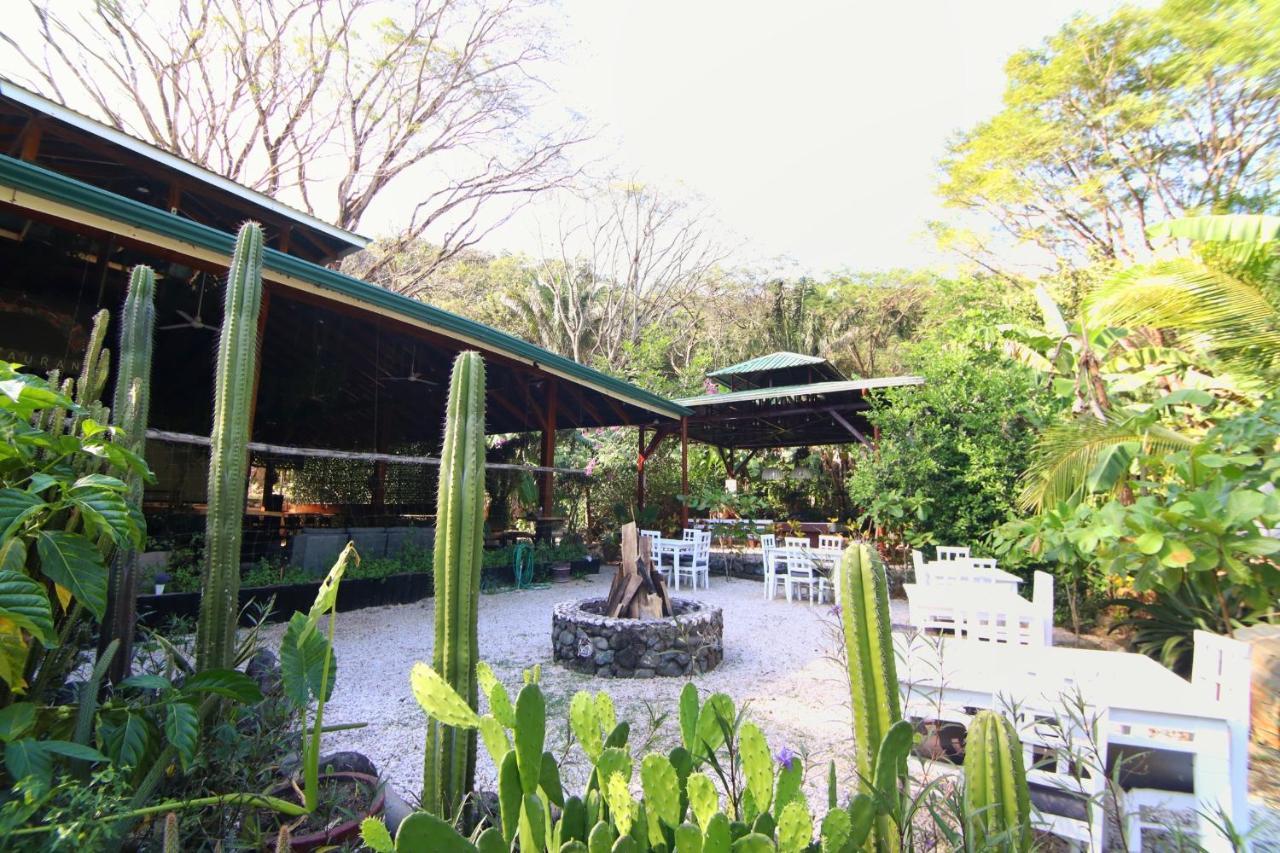 Hotel Jungle's Edge 3*