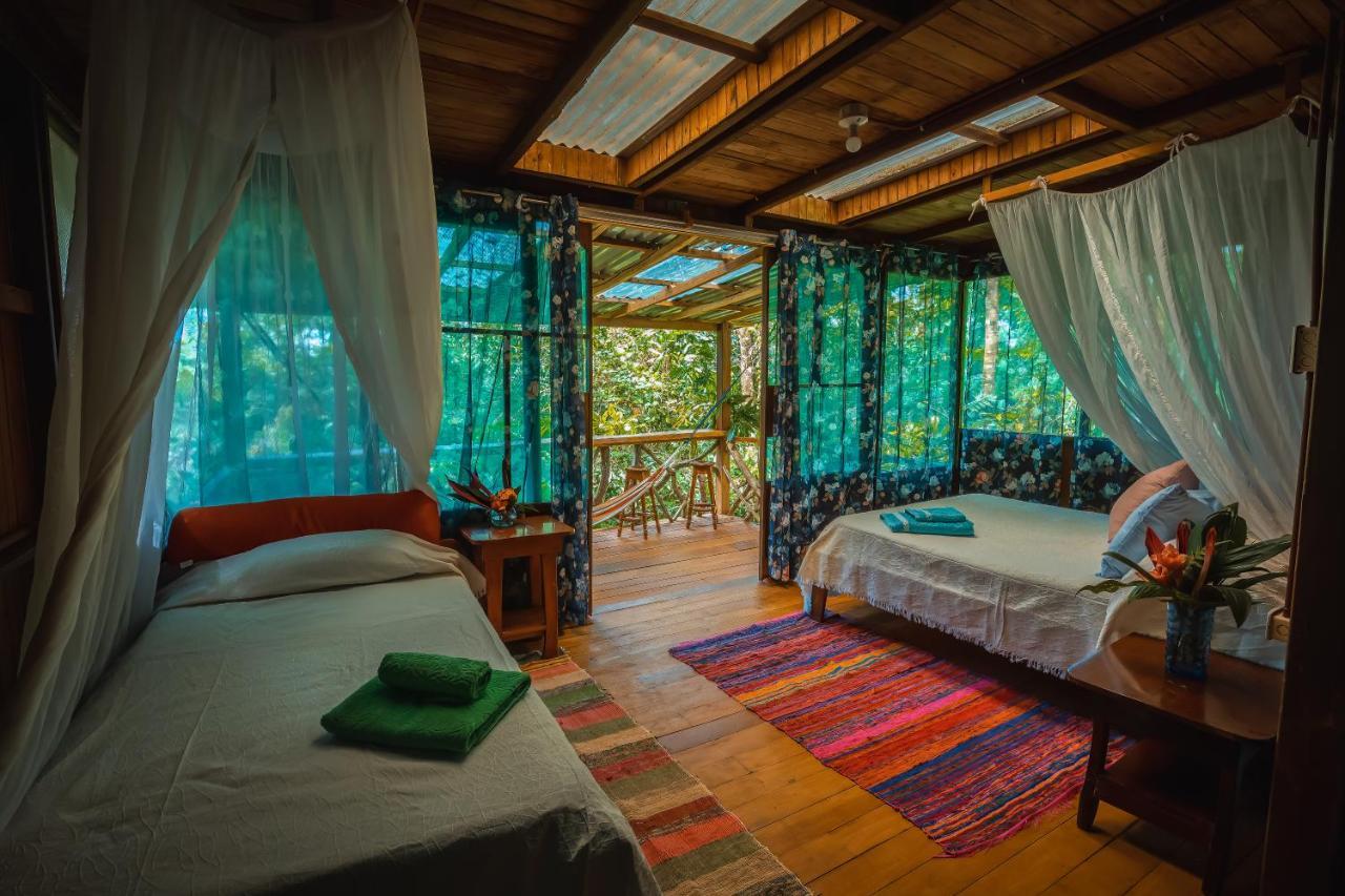 Ocean Forest Hotel 3*