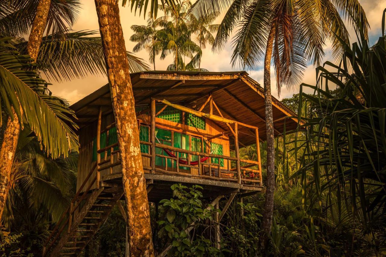 Ocean Forest 3*
