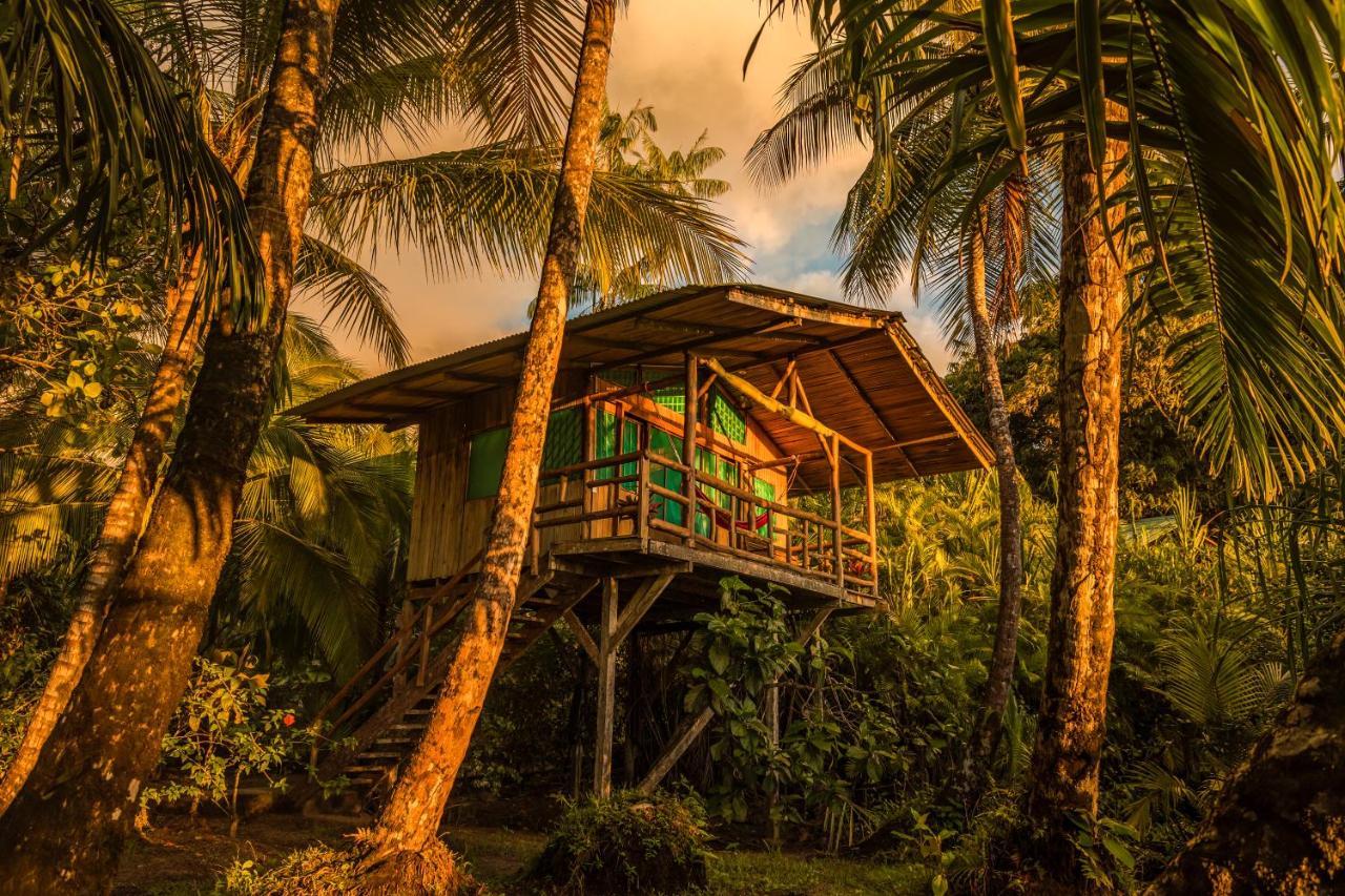 Hotel Ocean Forest