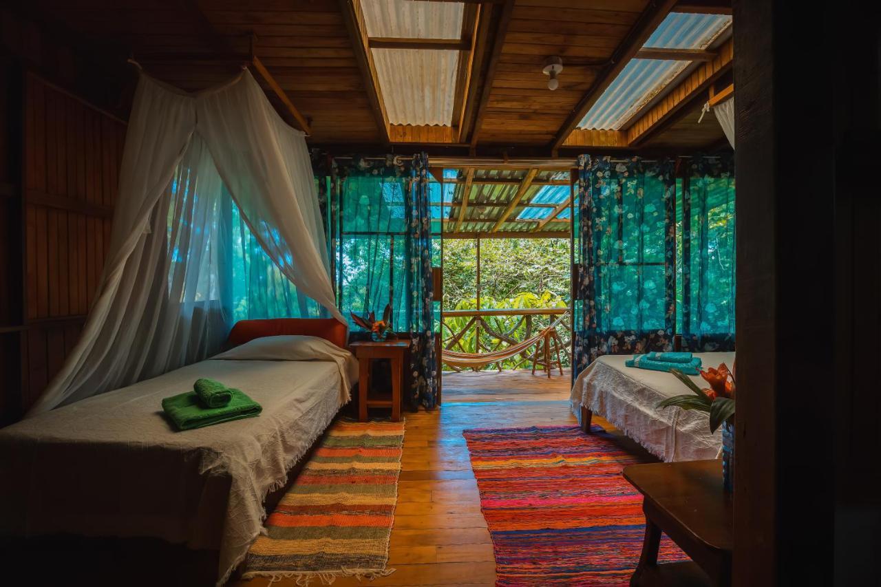 Hotel Ocean Forest 3*