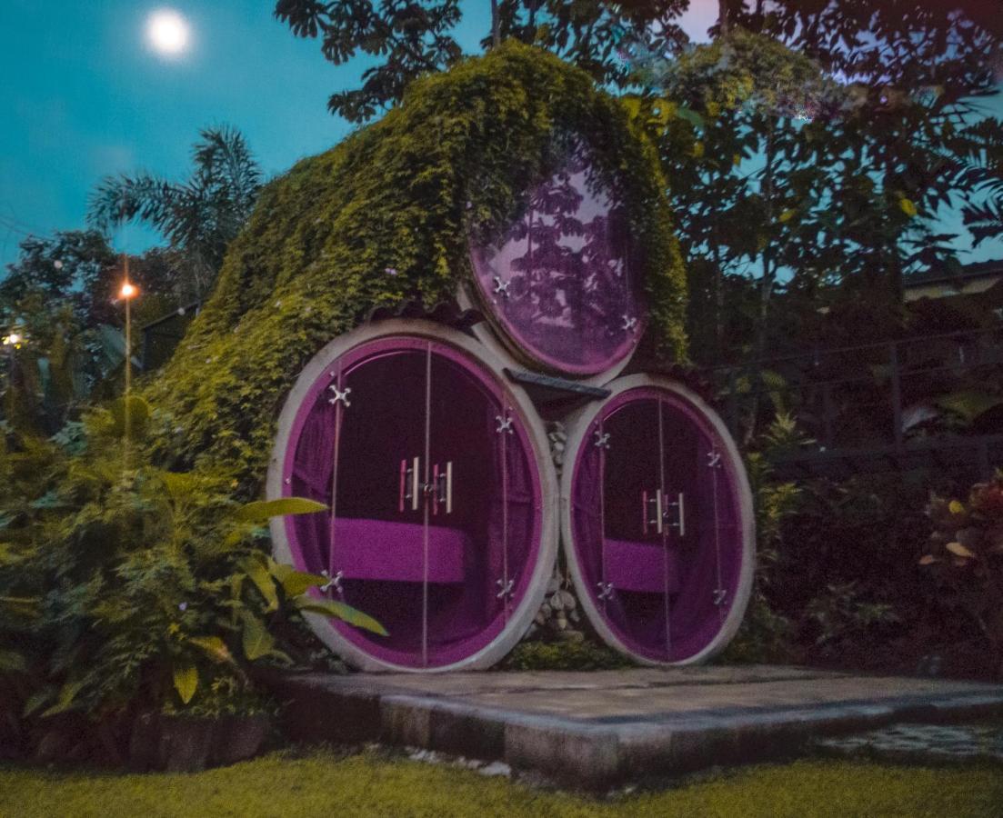 Arenal Backpackers Hostel La Fortuna