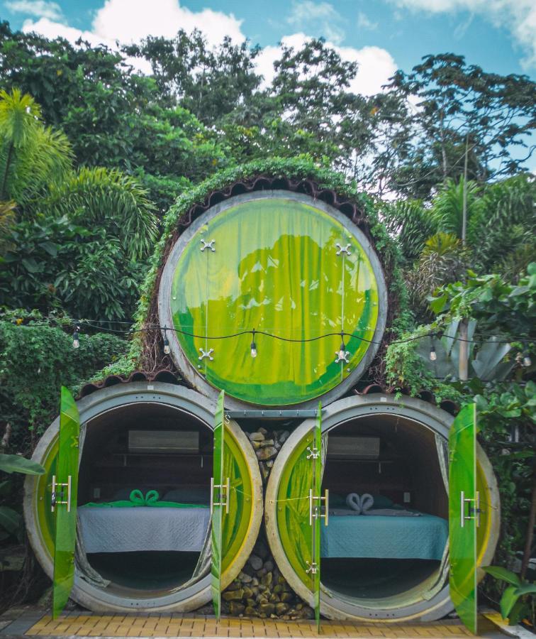 Arenal Backpackers *