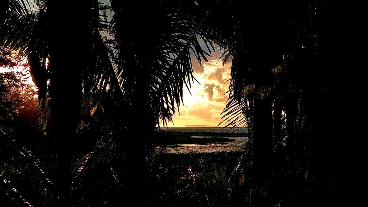 Encanto * Drake Bay