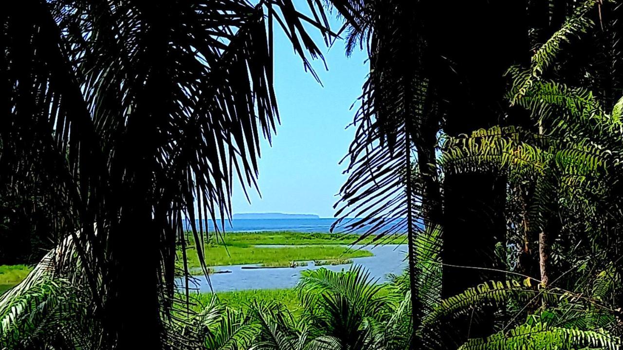 Encanto Guest house Drake Bay