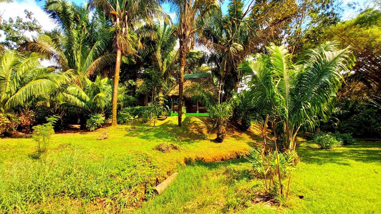Guest house Encanto