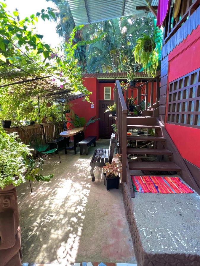 Hostel Pura Vida Montezuma