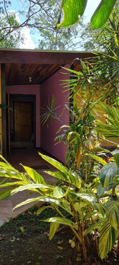 Hotel Ciudad Perdida 3*