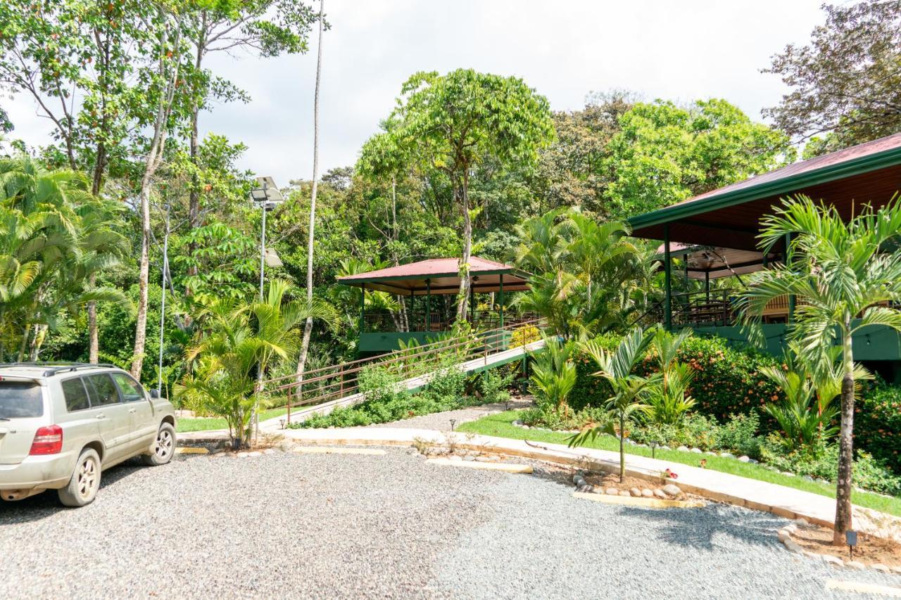 Hotel Arbol