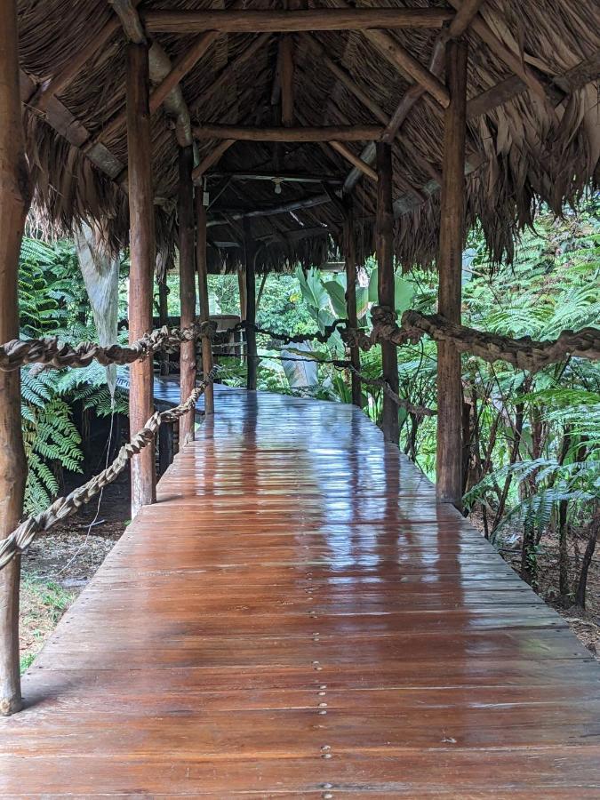 Guest house Corcovado Mountain House *