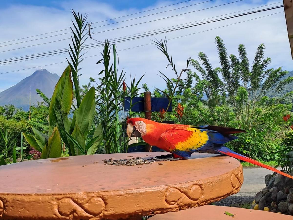 Lodge Essence Arenal & Yoga *