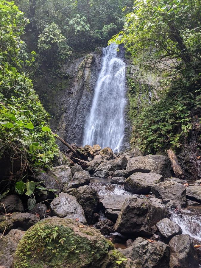 Guest house Corcovado Mountain House *
