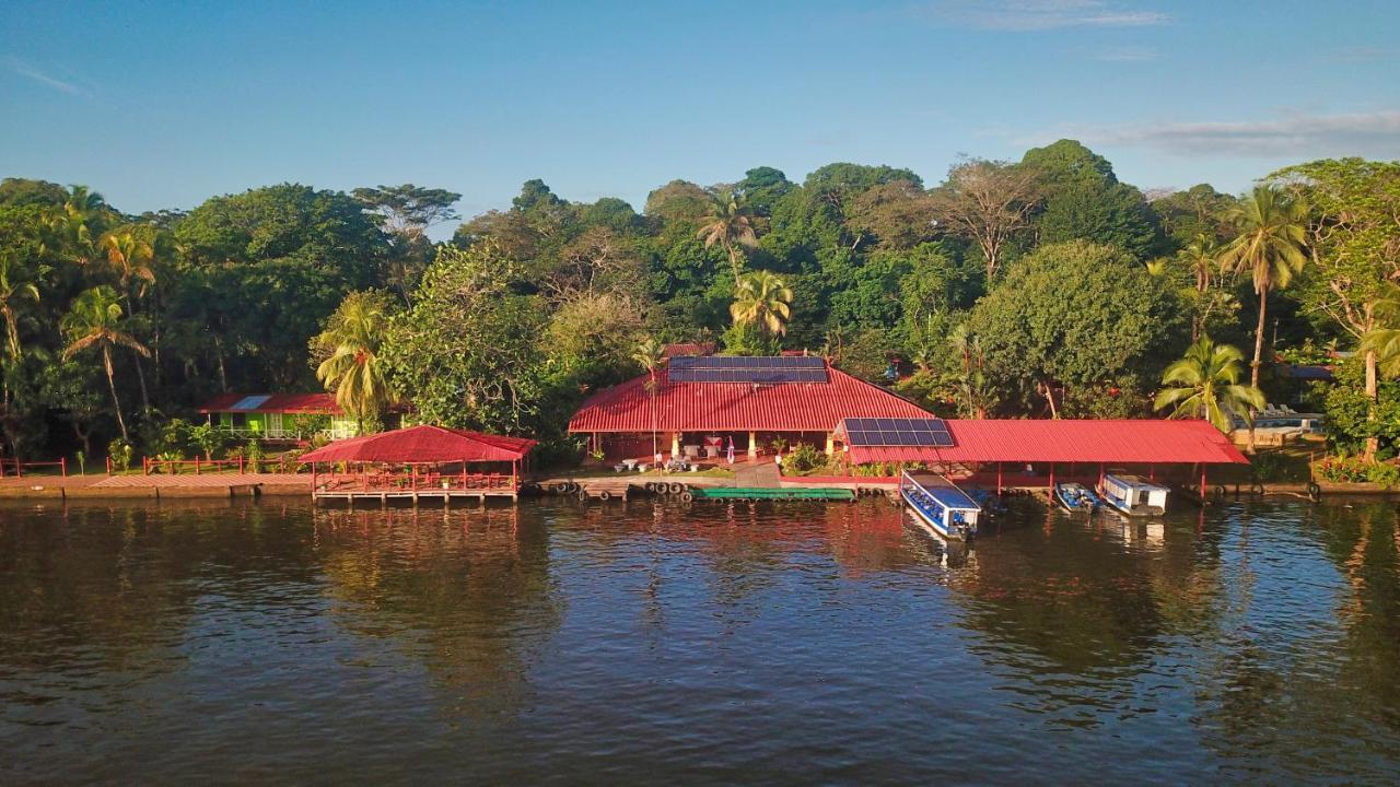 Baula Lodge Tortuguero